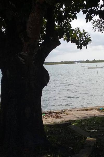 Fotos Matarandiba 105