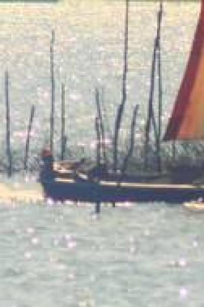 Fotos Matarandiba 14