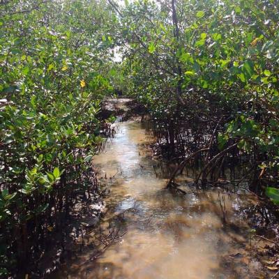 Fotos Matarandiba 37