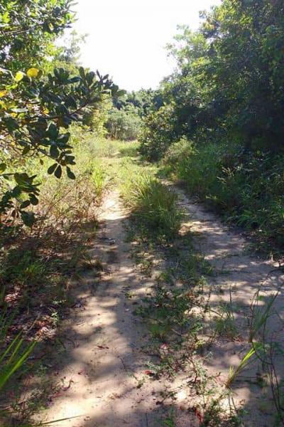 Fotos Matarandiba 46