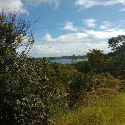 Fotos Matarandiba 50