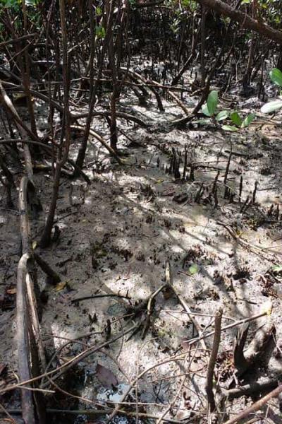 Fotos Matarandiba 58