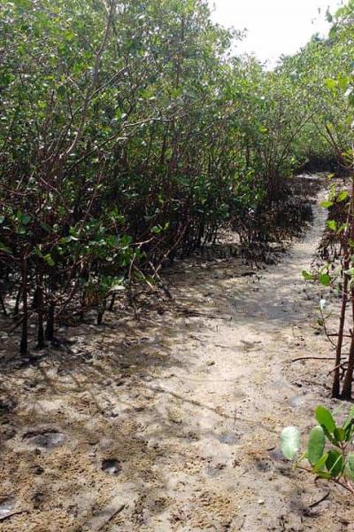 Fotos Matarandiba 61