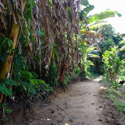 Fotos Matarandiba 63