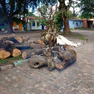 Fotos Matarandiba 64