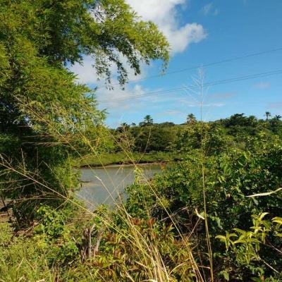 Fotos Matarandiba 68