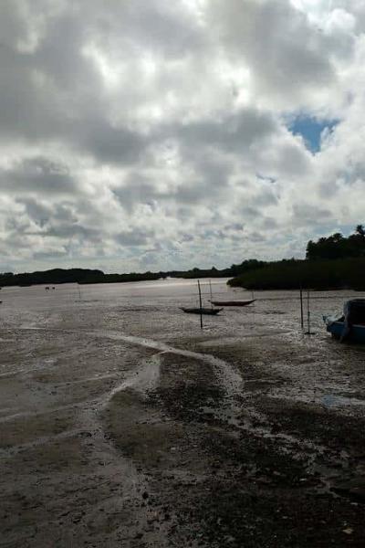 Fotos Matarandiba 80