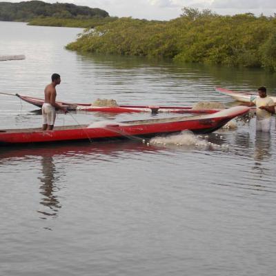 Fotos Matarandiba 99