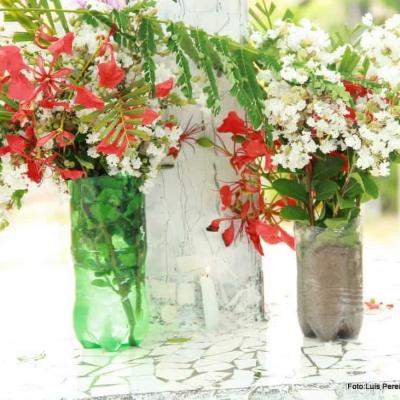 Lavagem Do Cruzeiro 2014 3