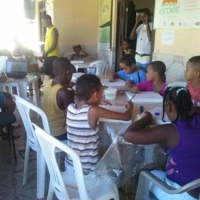 2016 Meio Ambiente 3