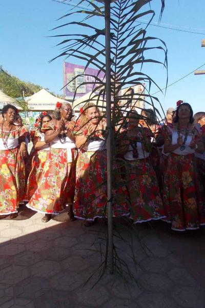 20135 Voa Voa Maria Samba De Roda 2