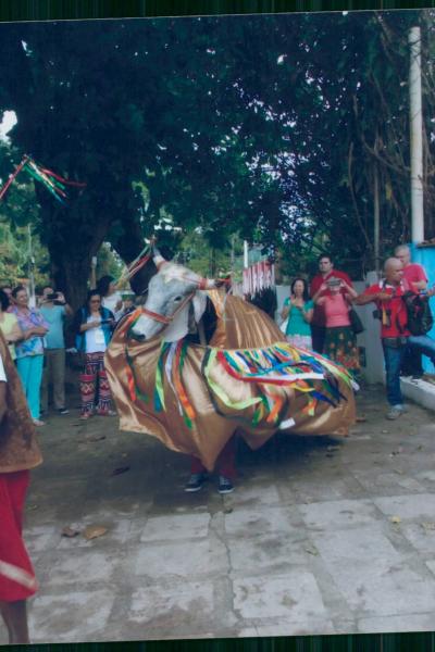 Abertura Da Conveno Da Eubiose Em Mar Grande 2015 16