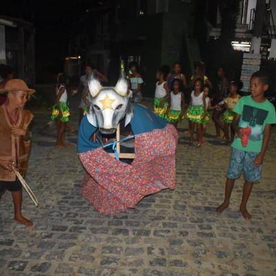 Boi Mirim Dia Das Crianas 2019