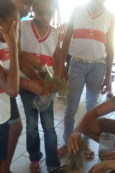 Meio Ambiente Com As Crianas 2016 10