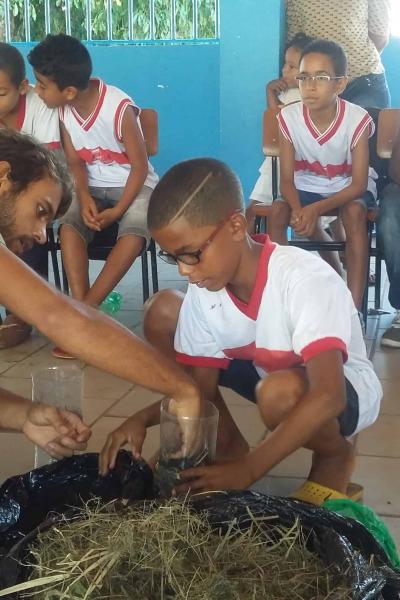 Meio Ambiente Com As Crianas 2016 16