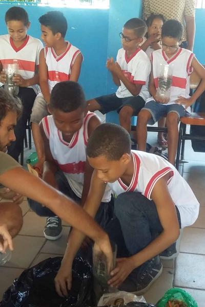 Meio Ambiente Com As Crianas 2016 17