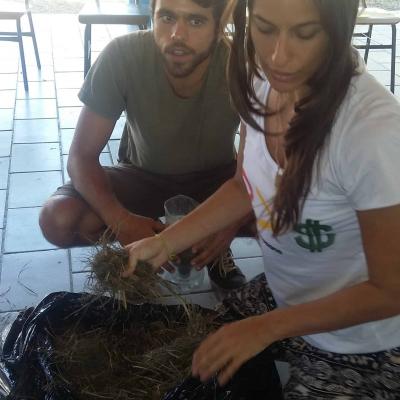 Meio Ambiente Com As Crianas 2016 1