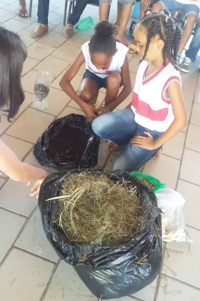 Meio Ambiente Com As Crianas 2016 21