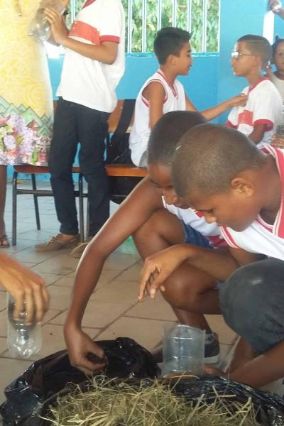 Meio Ambiente Com As Crianas 2016 26