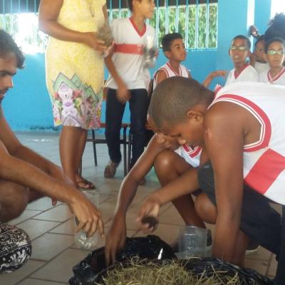 Meio Ambiente Com As Crianas 2016 28