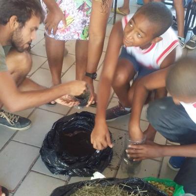 Meio Ambiente Com As Crianas 2016 29