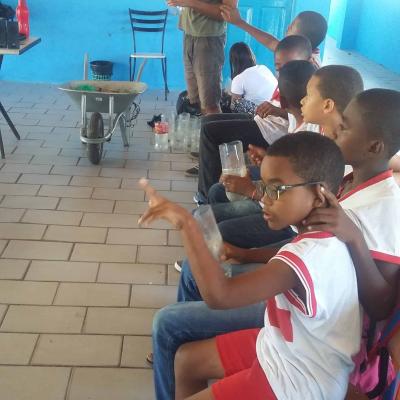 Meio Ambiente Com As Crianas 2016 2