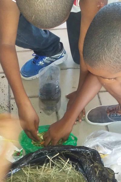 Meio Ambiente Com As Crianas 2016 30