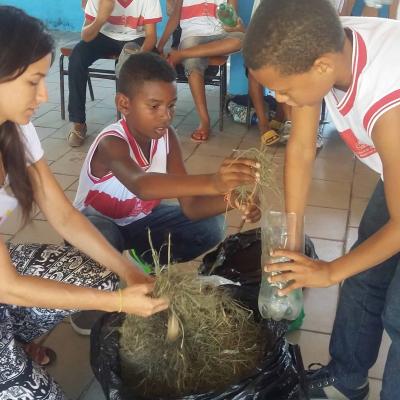 Meio Ambiente Com As Crianas 2016 7