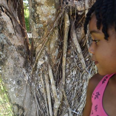 Curso De Fotografia 2018 12