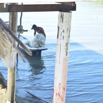 Curso De Fotografia 2018 18