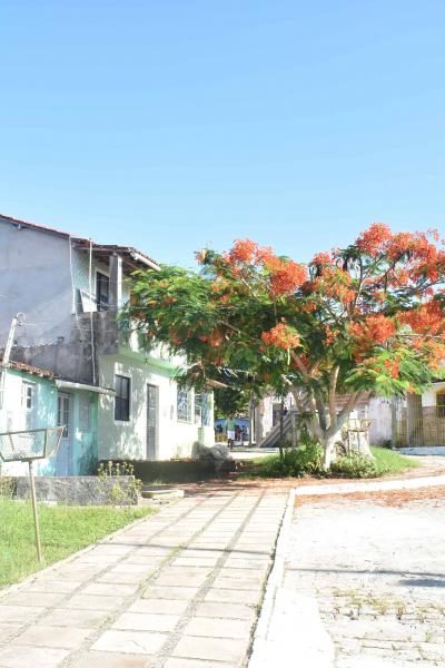 Curso De Fotografia 2018 19