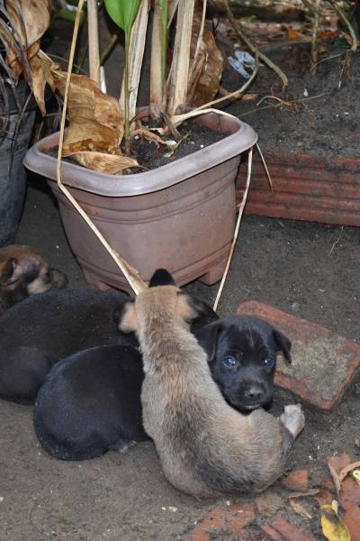 Curso De Fotografia 2018 1