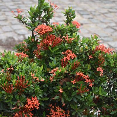 Curso De Fotografia 2018 2