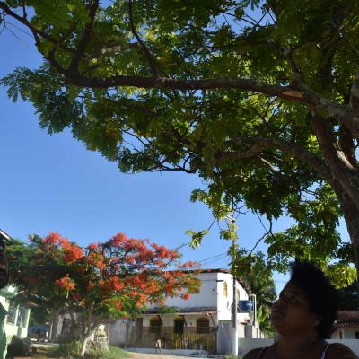 Curso De Fotografia 2018 35