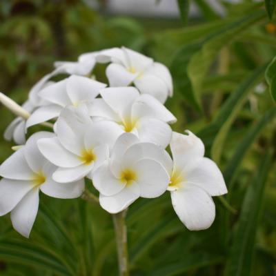 Curso De Fotografia 2018 3