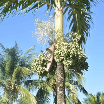 Curso De Fotografia 2018 54