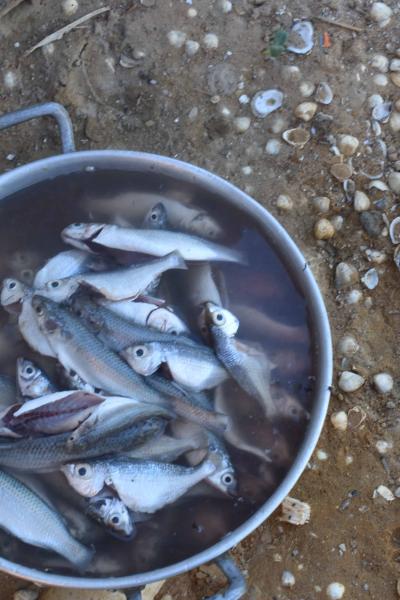 Curso De Fotografia 2018 59