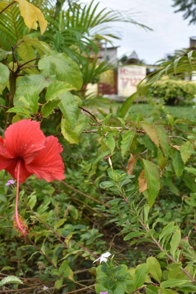 Curso De Fotografia 2018 5