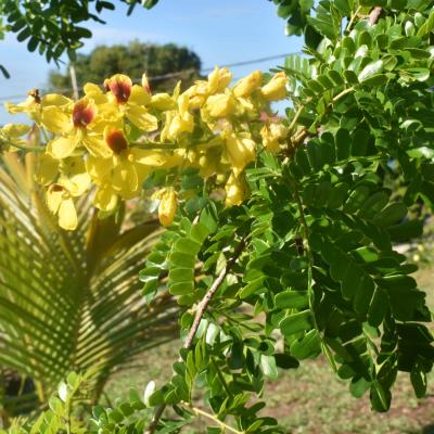 Curso De Fotografia 2018 61