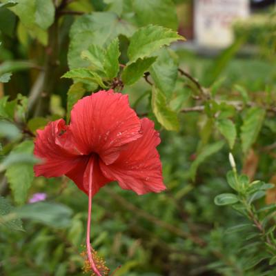 Curso De Fotografia 2018 6