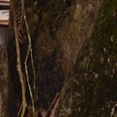 Curso De Fotografia 2018 7