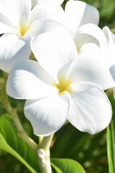 Curso De Fotografia 2018 9