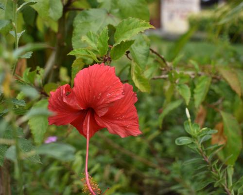 Curso de Fotografia 2018
